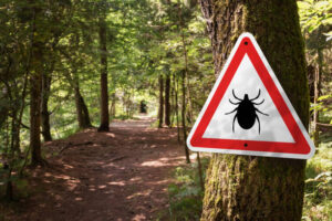 Infected ticks warning sign in a forest. Risk of tick-borne and lyme disease.